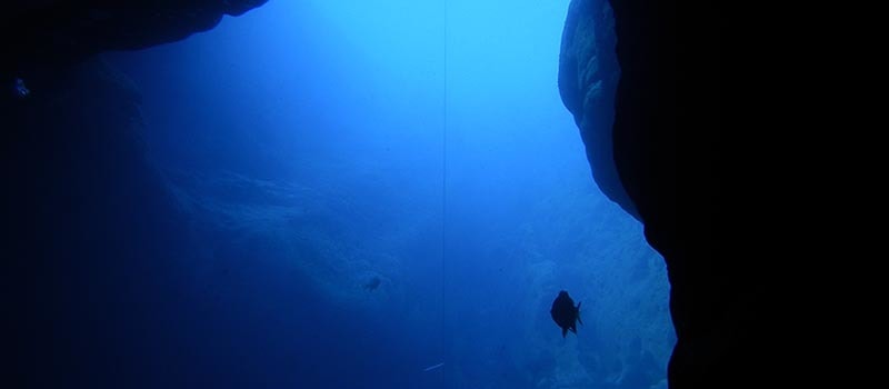 How Deep Can a Human Dive? Top 3 World-Record Dives